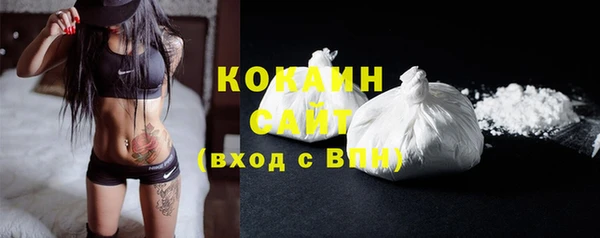 прущие грибы Волосово