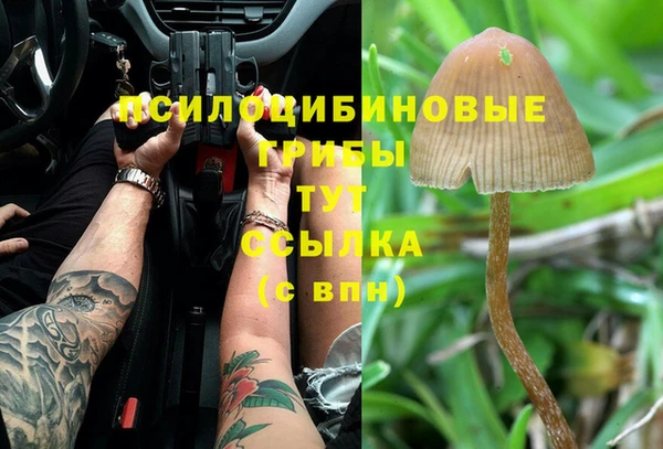 амфетамин Рославль
