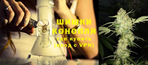 прущие грибы Волосово
