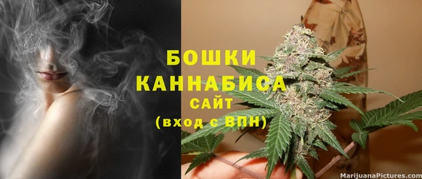 прущие грибы Волосово