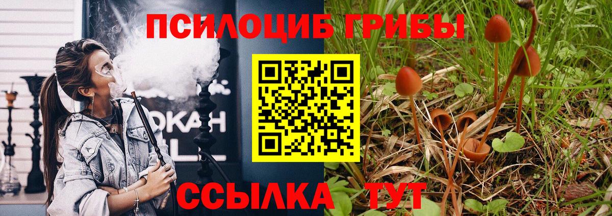 Галлюциногенные грибы прущие грибы Глазов