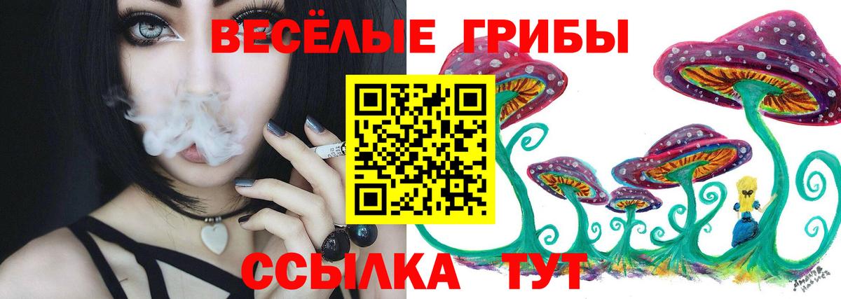 Глазов  Галлюциногенные грибы Psilocybe  Галлюциногенные грибы мицелий  Вход с VPN 